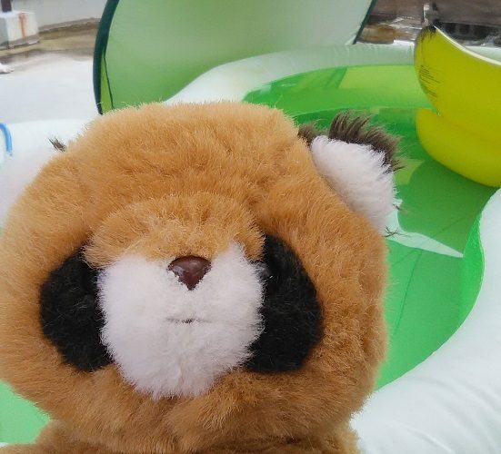 三英 たぬき あらいぐま ぬいぐるみ